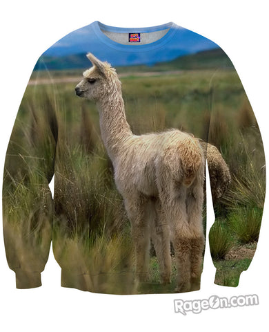 Alpaca Sweatshirt *Ready to Ship*