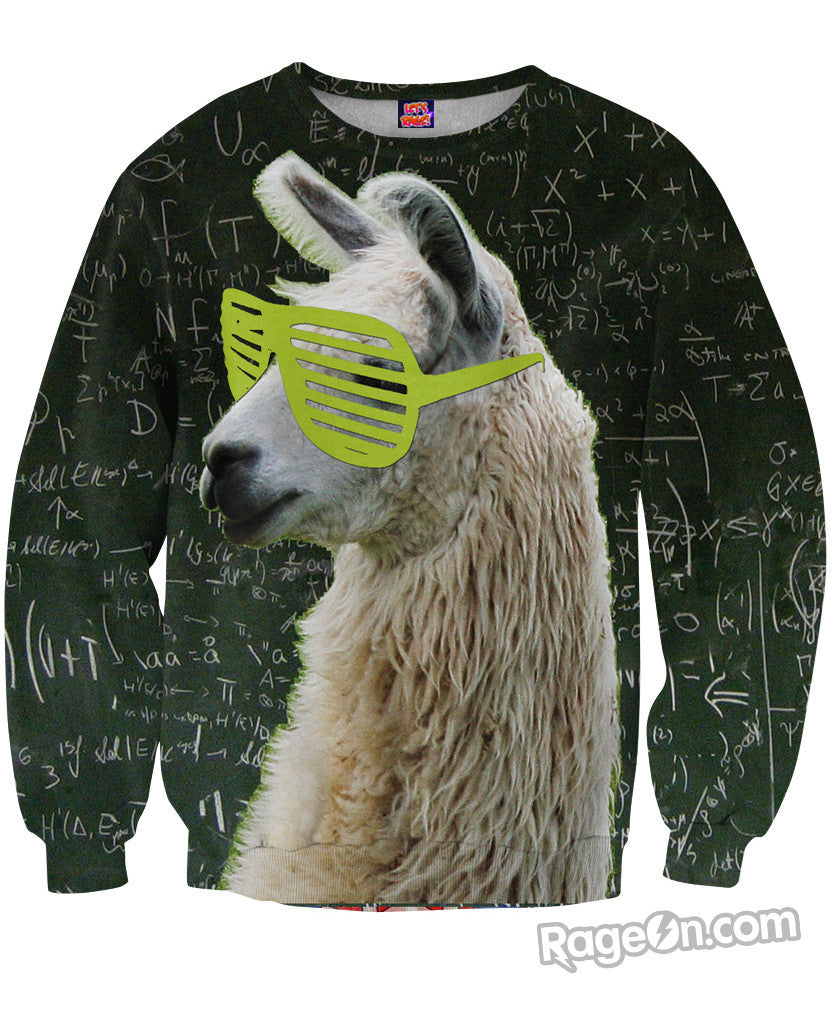 Llamathematics Sweatshirt *Ready to Ship*