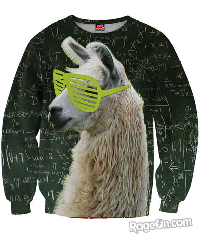 Llamathematics Sweatshirt *Ready to Ship*