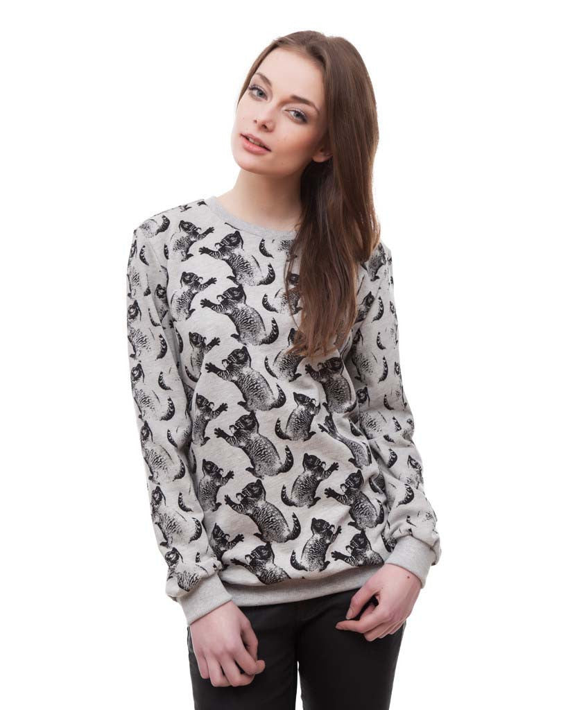 Fun Cat grey sweater
