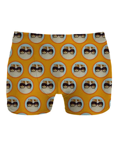 Holiday cat underwear